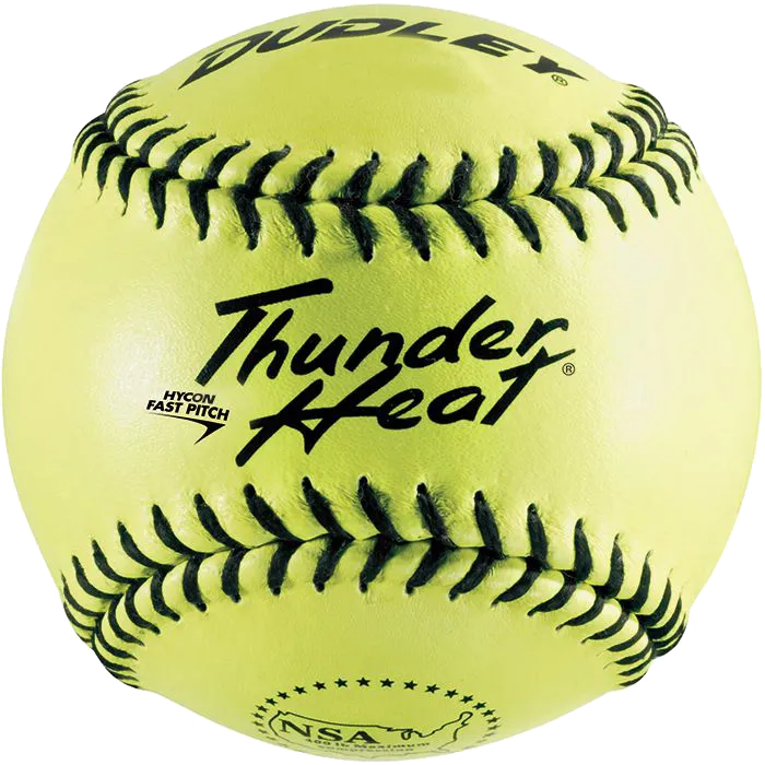 Fastpitch Softballs with Bucket