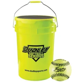 Fastpitch Softballs with Bucket