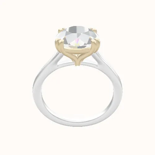 Double Prong Head Split Cathedral Engagement Ring